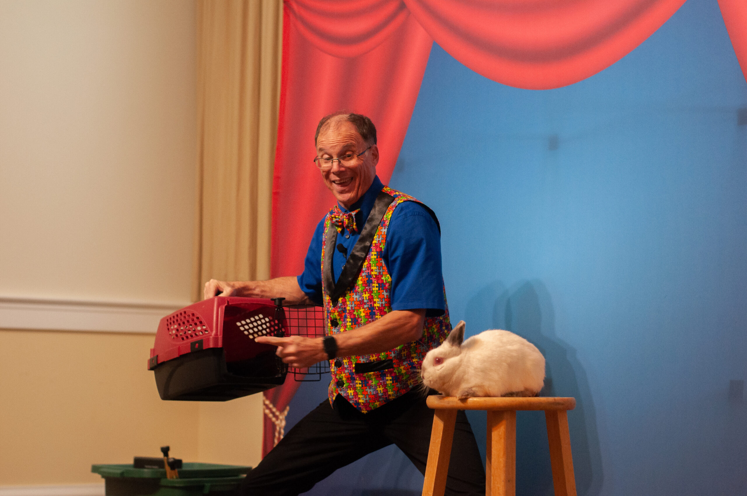 Harold Wood-rabbit-Splash